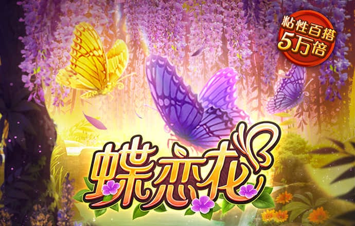 蜂鸟电竞APP